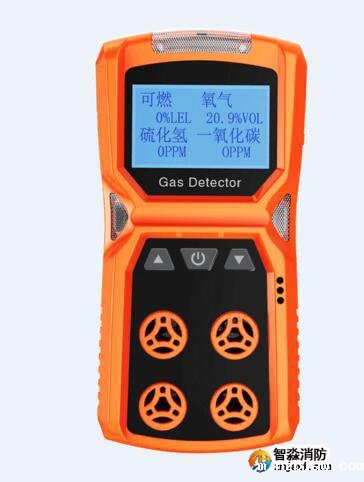 可燃性气体检测仪